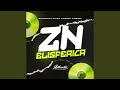 Download Lagu Zn Elisferica