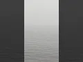 Code Red at Delaware Beaches