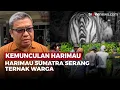 Download Lagu Harimau Sumatra Muncul di Perkebunan Warga, BBKSDA Turun Tangan | OneNews Update