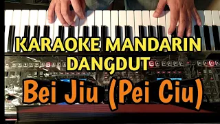 Download Bei Jiu (Pei Ciu) -  Huang Jia Jia  | Karaoke Mandarin Dangdut MP3