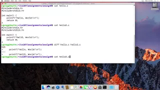 The diff command in linux