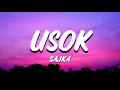 SAJKA - Usok