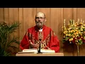 Catholic Mass Today | Daily TV Mass, Saturday November 22, 2025