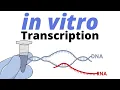 Lagu How IN VITRO TRANSCRIPTION works