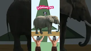 يوم تصحي ابوك بالغلط 