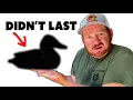 Motion Decoys for Ducks Which One Is Best