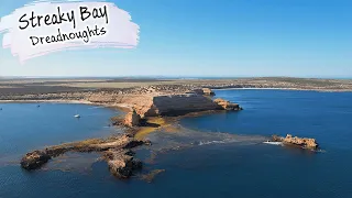 E98 – Streaky Bay (Dolphins and Whiting)