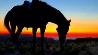 خواطر شعرية شمس الجنوب   لحظة الغروب   قصائد الأدب العربي   الكاتب محمد العلان دندنها