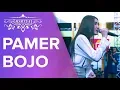 Download Lagu Nella Kharisma - Pamer Bojo - Pentas Seni 2019 SMARTUAL SMK MAHARDHIKA