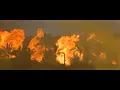 Apocalypse Now intro: The Doors, The End {1979}