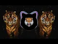 Download Lagu TIGER TRACK 2019 HQ
