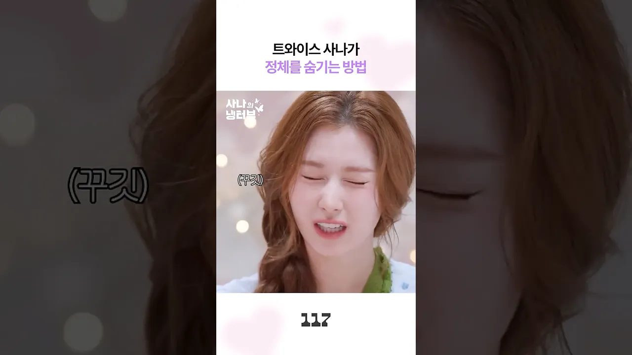 트와이스 사나가 정체를 숨기는 방법