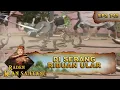 Download Lagu Pajajaran Di Serang Ribuan Ular - Raden Kian Santang Eps 745 Part 1