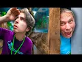 I Cheated While Playing Hide And Seek At My Reptile Zoo