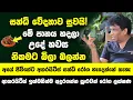 Download Lagu මෙන්න මේ පානය හදලා උදේ හවස නිකමට බිලා බලන්න | අයේ ජිවිතේට අතරයිටීස් සන්ධි රෝග නම් හැදෙන්නේ නැහැ