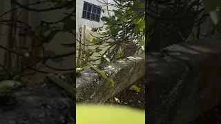 ارضنا الجميلة 