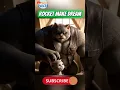 Download Lagu Cosmic Whiskers 🚀 | Heart-Touching Cat Animation | Pixar Style Emotional Short #Shorts