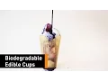 Loliware The First And Only Biodegr edible Cups