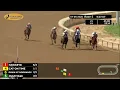 RACE 5 PROGRAM 07 06 2026