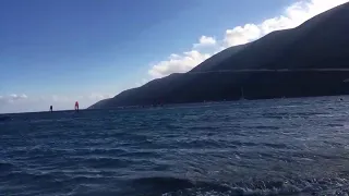 Wildwind week 15 live update!