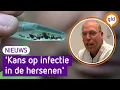 TEKEN kunnen meer veroorzaken dan de ZIEKTE VAN LYME