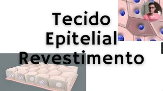 Tecido Epitelial de Revestimento - Junqueira & Carneiro (Histologia 1)