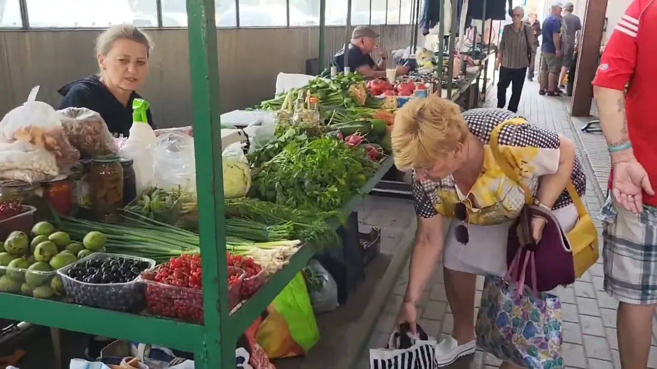 Traditional open air morning plant and mushroom market in Rzeszw, Polandj