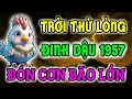 Download Lagu Đang Đỏ Hóa Đen: Tháng 9 Âm ĐINH DẬU 1957 Bất Ngờ Gặp 5 Ngày Vận Xui Nặng Nhất, Số Đỏ Tắt Lịm