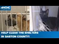 Help Gaston County clear the shelters
