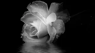 aishah melukut di tepi gantang with lyrics wmv