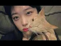 Download Lagu sulli clips 🪼