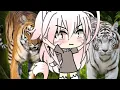 Lagu Roar 🐯 sub español (gacha life) Zerina neko