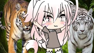 Download Roar 🐯 sub español (gacha life) Zerina neko MP3