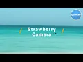 𝐏𝐥𝐚𝐲𝐥𝐢𝐬𝐭 "Jane & The Boy" 독보적 음색의 고막여친💞음색깡패 팝송 노래모음 | PLAYLIST ▶🍓Strawberry Camera