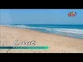 Download Lagu LAUT #BEJANAHIDUP