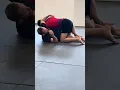 Octopus Guard Introduction Detailed Techniques Transitions Gracie Raleigh BJJ Breakdown