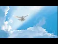 Gospel-Pinkster-koortjies-op die vlerk van u spier wit duif