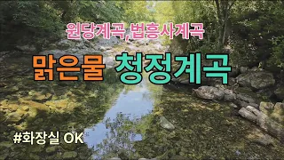 [계곡추천]평창 원당계곡, 영월 법흥계곡 /시원하고 깨끗한물 그늘가득한 계곡 썸네일
