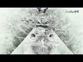Spiritbox - Soft Spine (Lyrics)