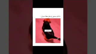 طاهر القلب نقي 