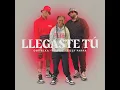 Llegaste Tú - Omy Alka, Lizzy Parra & Townix