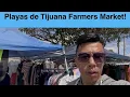 I Found EVERYTHING for 20 Playas de Tijuana Monday Farmers Market