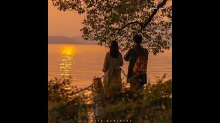 حالات واتس تامر عاشور ولا بنساك ولا ثانيه وكل دقيقه و التانيه 