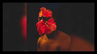 ceeychris insetos afro mix 