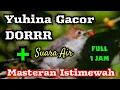 Download Lagu Buat masteran burung || Yuhina gacor dor