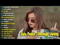 DINI KURNIA - GULU PEDOT, OMONGE UWONG, GERAJAGAN - FULL ALBUM KOPLO OSING BANYUWANGI VIRAL 2025