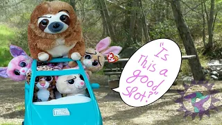 BBP Beanie Boos Go Camping FT Mahala
