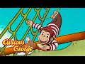 Download Lagu George the Pirate! 🐵 Curious George 🐵 Kids Cartoon 🐵 Kids Movies