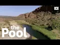 Download Lagu How Billabong is Australia's Original and Oldest Pool  | The Pool