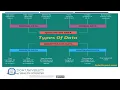 L1 Data Types and Variables in Statistics - Complete Guide with Examples Explained by Tutor
